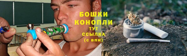 spice Алзамай
