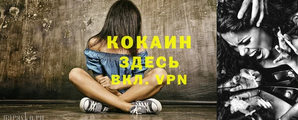 spice Алзамай