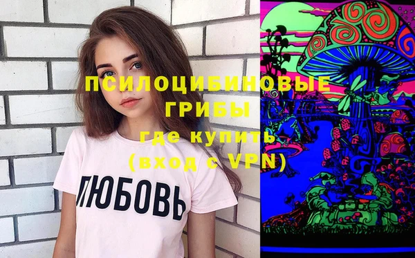 шишки Алексеевка