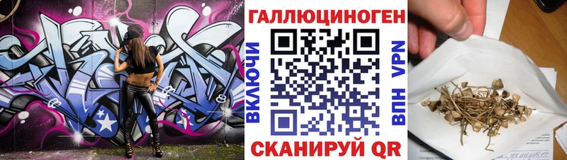 Галлюциногенные грибы Psilocybe  даркнет клад  Котельники 